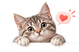 Curious gray tabby cat peeking over a surface with a heart speech bubble